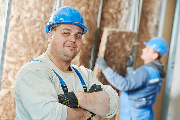 Best Spray Foam Insulation  in Luck, WI
